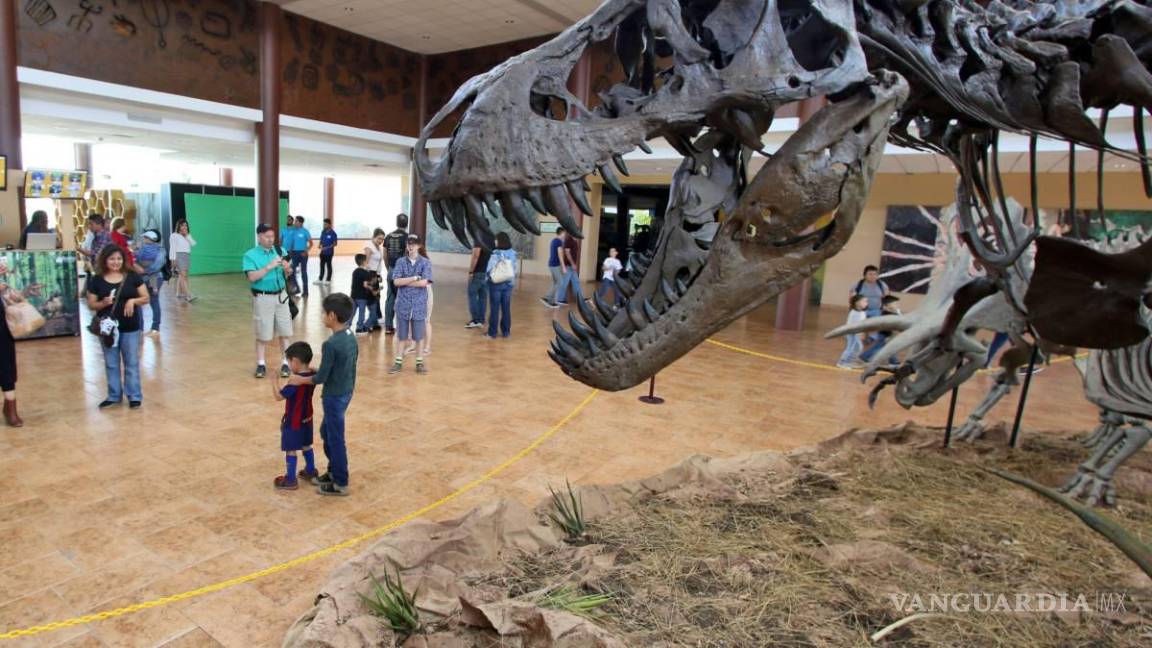 $!Se prepara una nueva zona interactiva para niños y jóvenes.