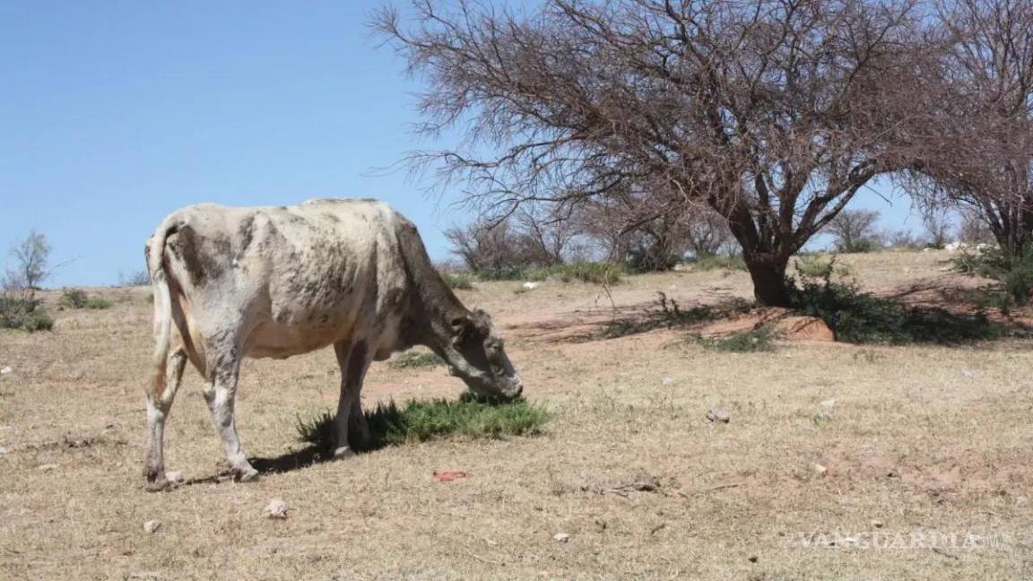 $!Especialistas advierten que depender de un solo cuerpo de agua expone a la región a riesgos mayores.