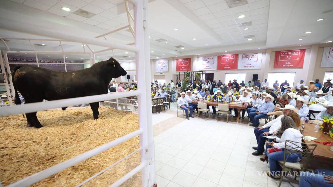 Esperan ganaderos de Coahuila luz verde para exportar a EE. UU, de esta semana no pasa