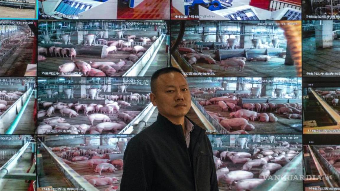China apuesta a mejorar su producción alimentaria de carne de cerdo con enormes torres