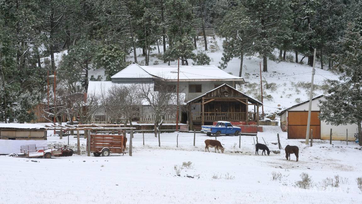 $!Frío llena hoteles de Arteaga y Saltillo