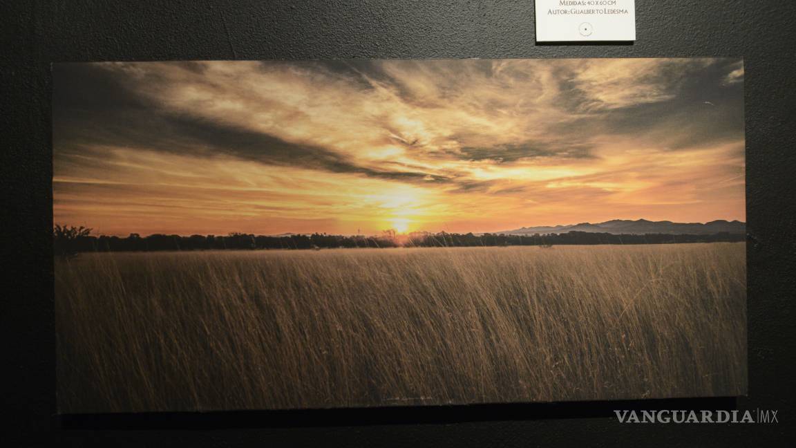 $!El arte duranguense presente en el Museo del Desierto