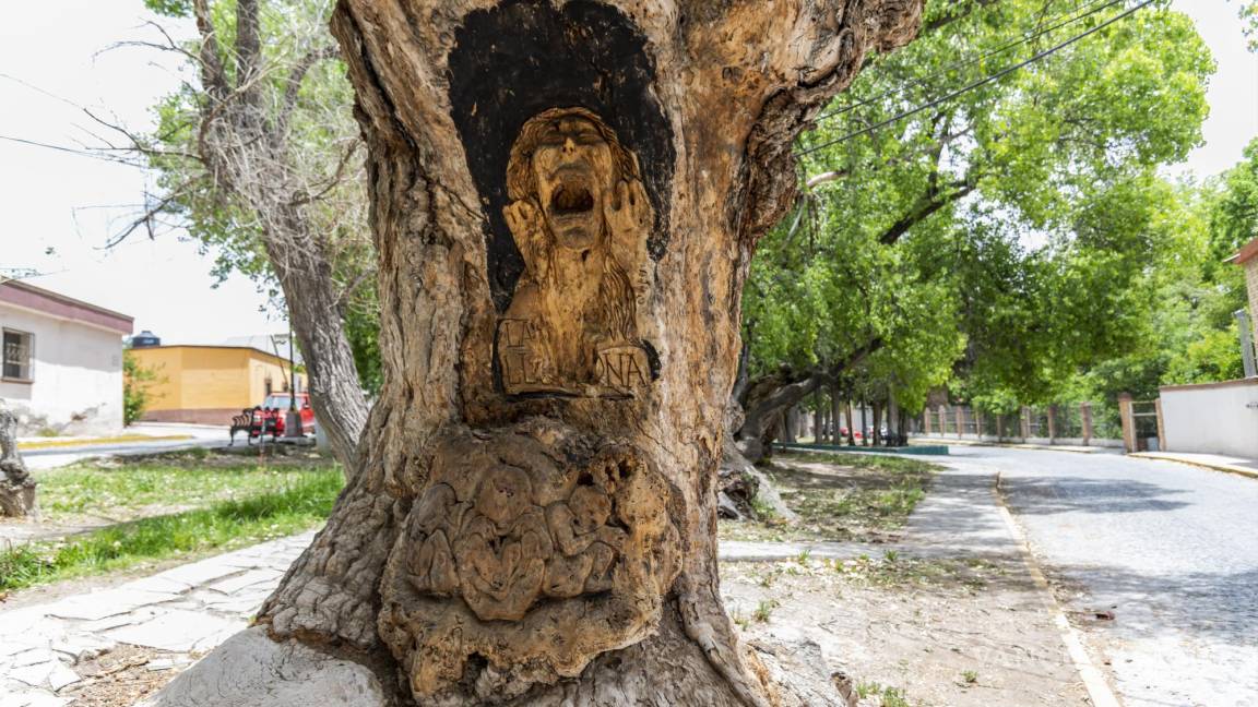 Los árboles tallados de Arteaga: un acto de arte perdido