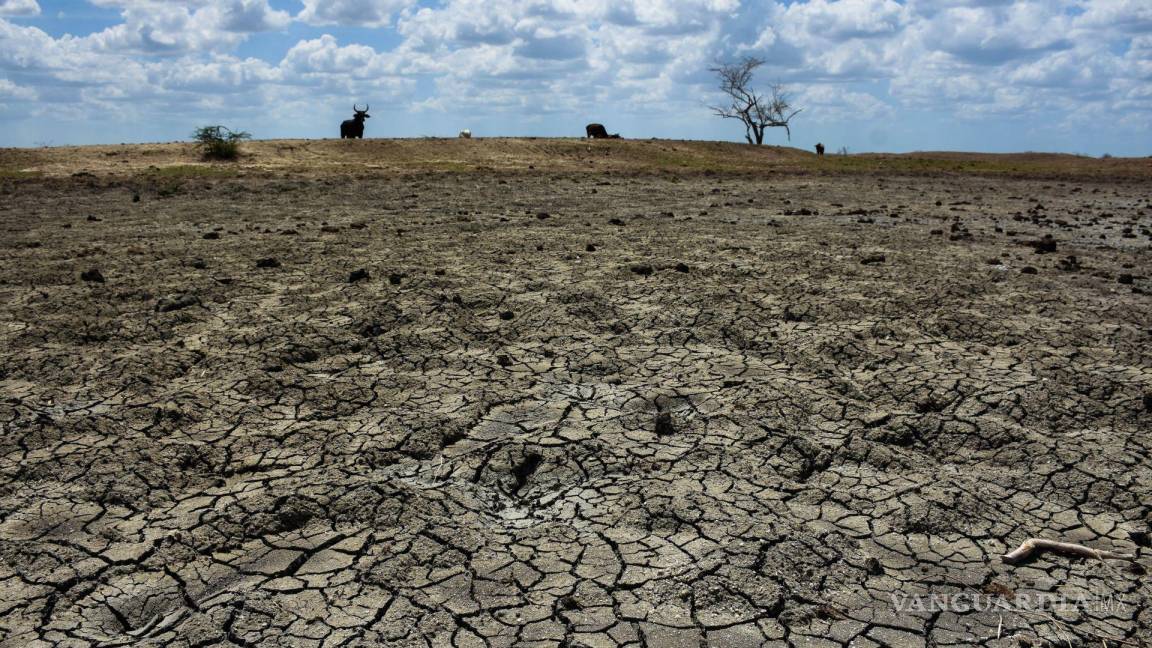 Rompen récord sequía y calor: 2023, el más seco y cálido del que se tenga registro en México