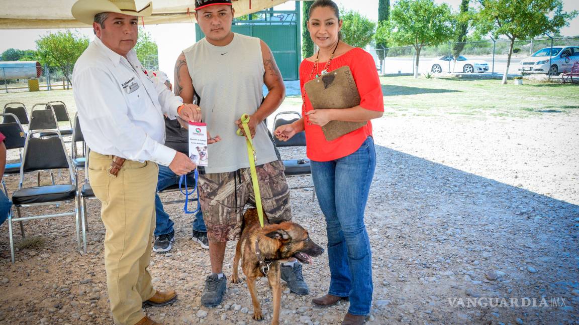 $!Excelente respuesta de nigropetrenses a campaña de adopción de perros y gatos