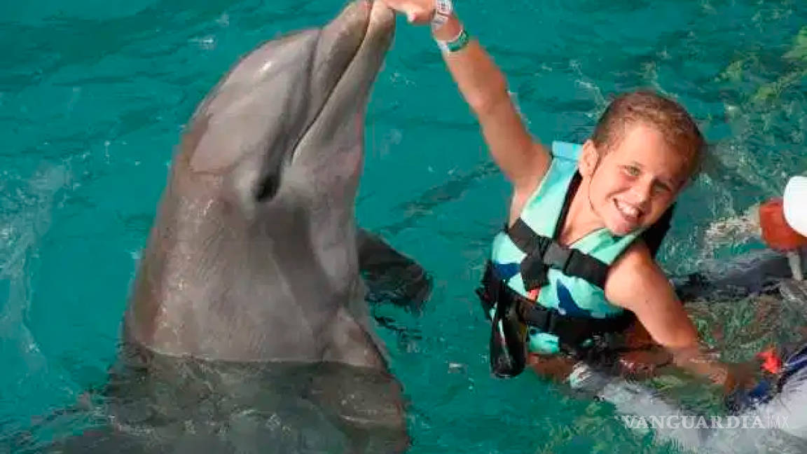 Delfines pierden el control y atacaron a una niña en Cancún