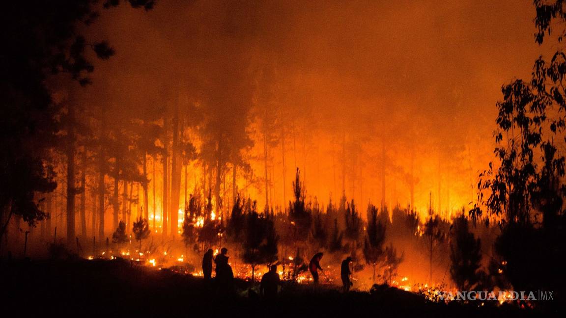 $!¡Arde Chile!, 40 incendios forestales se mantienen activos