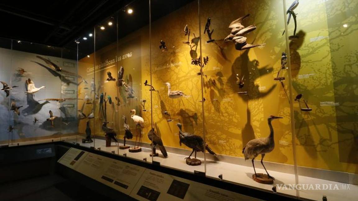 $!El Mude es de los más queridos.