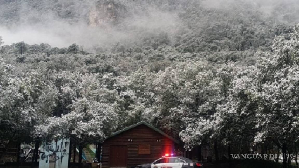 Se cubren de blanco las montañas de Nuevo León tras llegada del frente frío 10