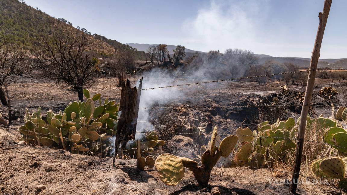 $!Las llamas continúan propagándose en El Tunal, donde las brigadas están trabajando en condiciones difíciles para sofocar el fuego.