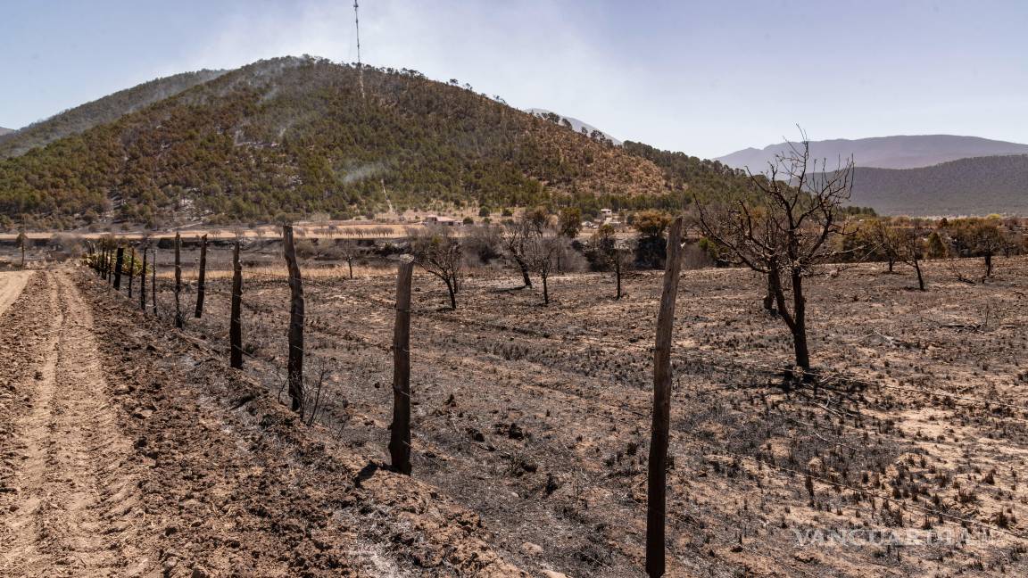 $!El incendio en el ejido El Tunal ha afectado 73 hectáreas y se encuentra en proceso de liquidación.
