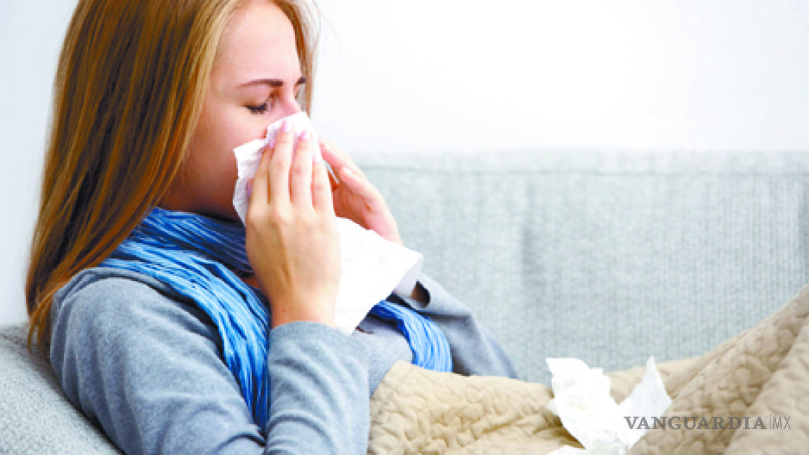 OMS: Alerta máxima por gripe aviar