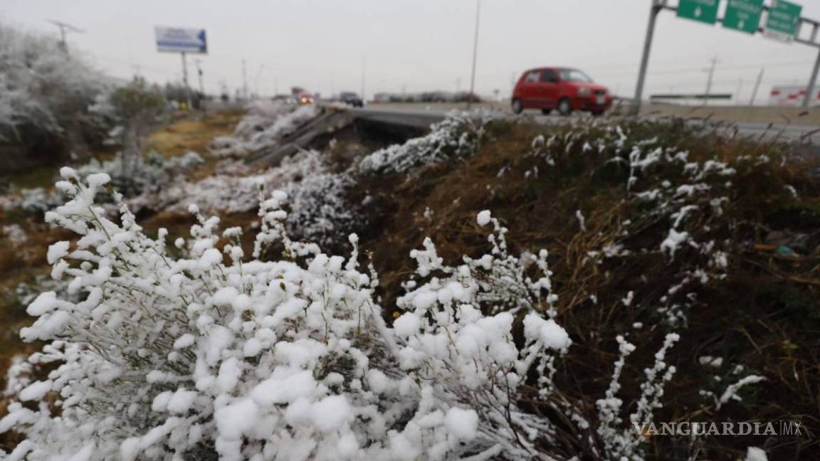Corriente en chorro polar generará caída de nieve o aguanieve en sierra de Coahuila