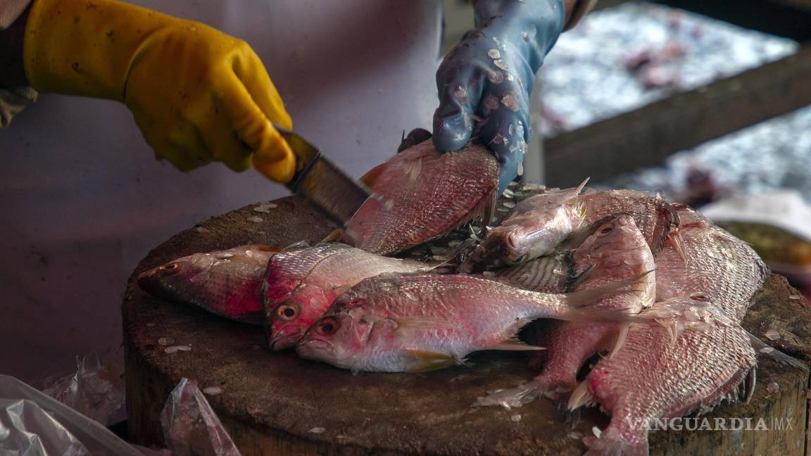 $!Vendedores de pescado ofrecen sus productos en el mercado de pescados y mariscos La Viga, en Ciudad de México.