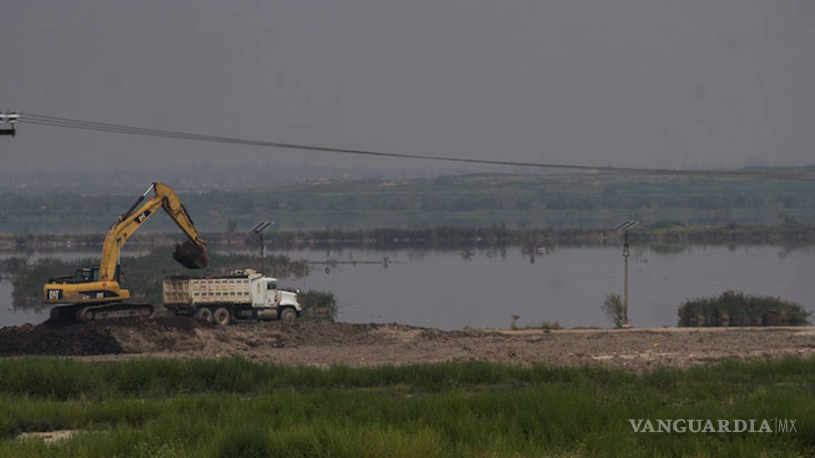 $!Constructores del NAIM mienten, “es una farsa” que pueda salvar flora y fauna de Texcoco: especialista