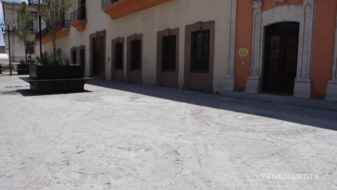 $!Saltillenses evalúan el futuro de la vegetación en el Centro Histórico de Saltillo ante el Paseo Capital.