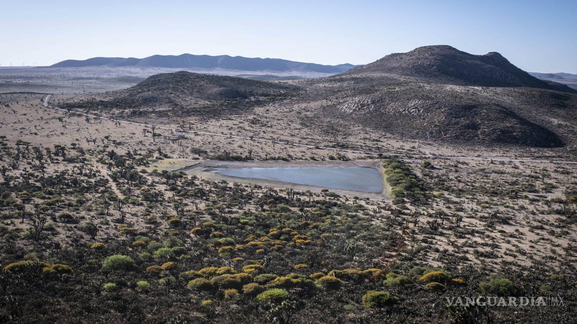 $!Ubicado en el desierto de San Luis Potosí, Real de Catorce es un destino místico rodeado de historia minera y espiritualidad.