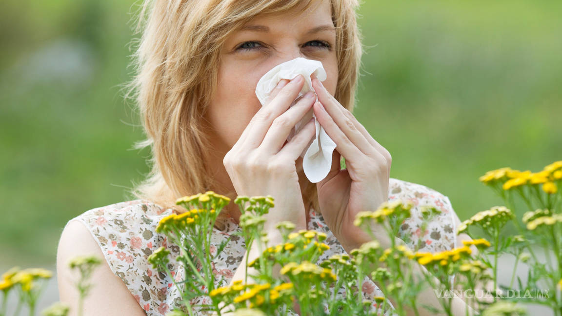 Sugieren tomar precauciones ante temporada de alergias