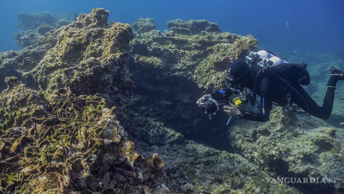 Descubren 3 naufragios antiguos junto a una isla griega en el mar Egeo