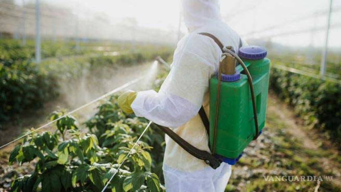 Gobierno de México saca del mercado 19 pesticidas de Bayer-Monsanto que dañan la salud; desde 2015 se debieron prohibir