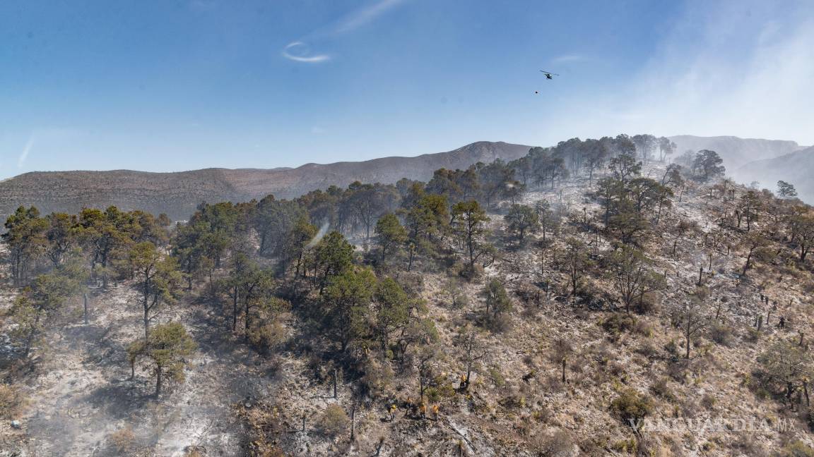 $!Los brigadistas continúan trabajando en la detección y sofocación de puntos calientes en la zona afectada por el incendio.