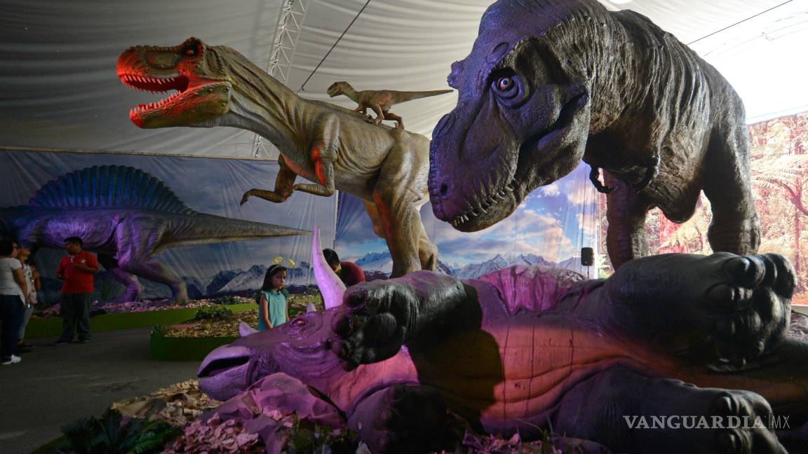 $!Estos son los apodos de Saltillo ¿Cómo le dices?