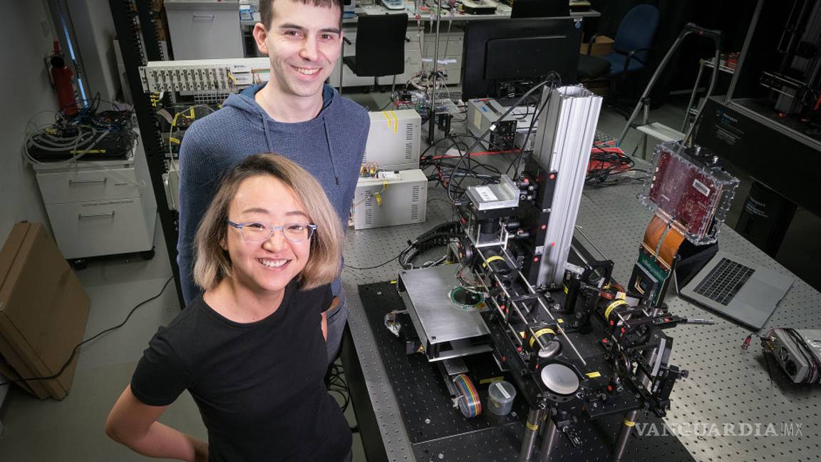 $!Científicos descubren complejidad en emociones de los animales