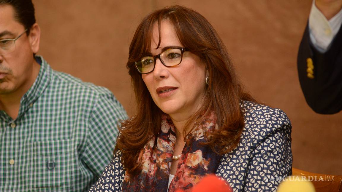 $!"Con reforma penal no serán castigados ni delitos electorales, ni servidores públicos": Guadiana