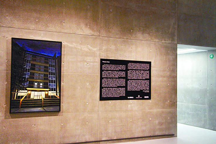 $!Carlos Vielma; pintura para descifrar