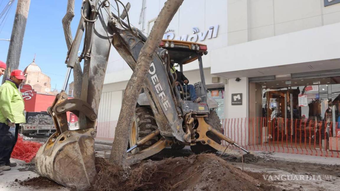 $!Activistas de la localidad han cuestionado el manejo en áreas verdes que han tenido las autoridades locales.