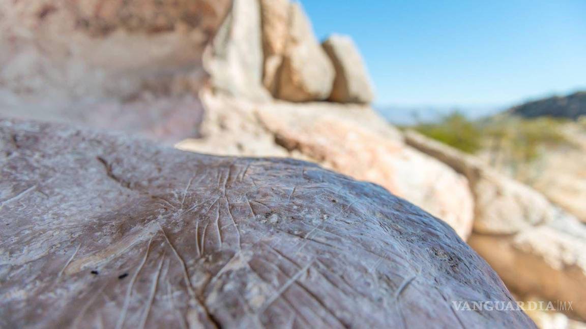 $!El turismo local y nacional en Cuatro Ciénegas ha venido en incremento.