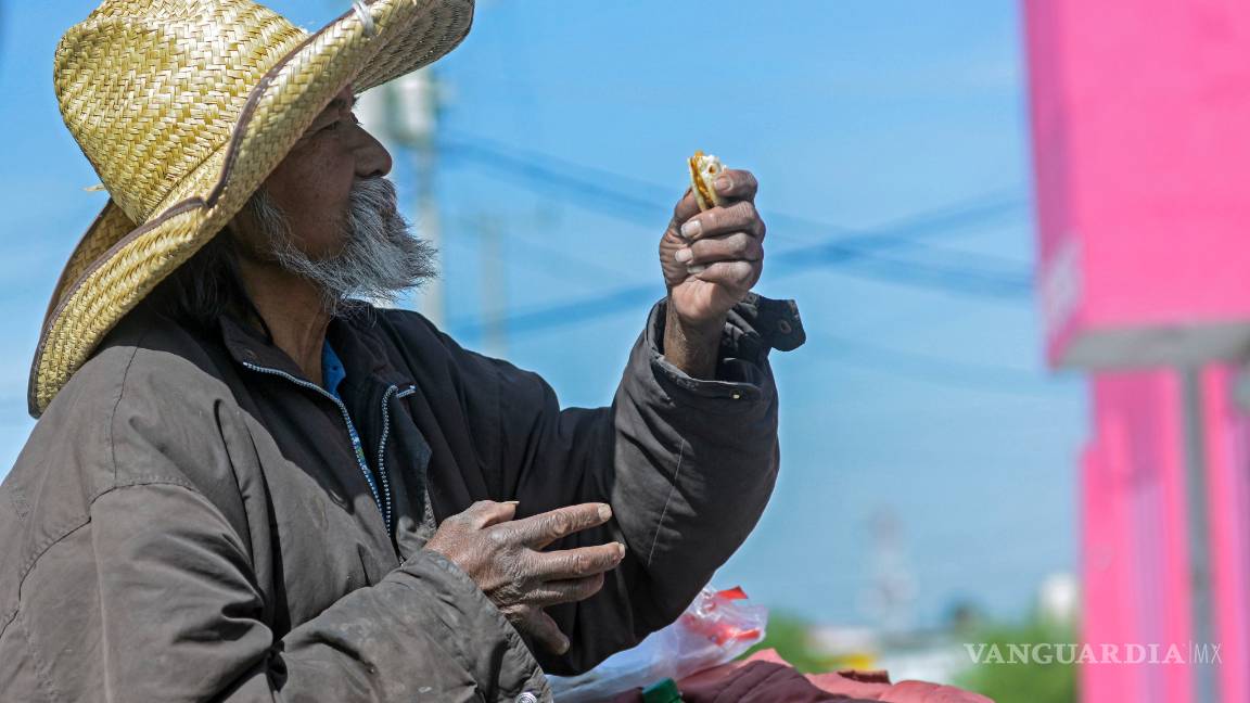 $!¿Son invisibles? (Fotogalería)