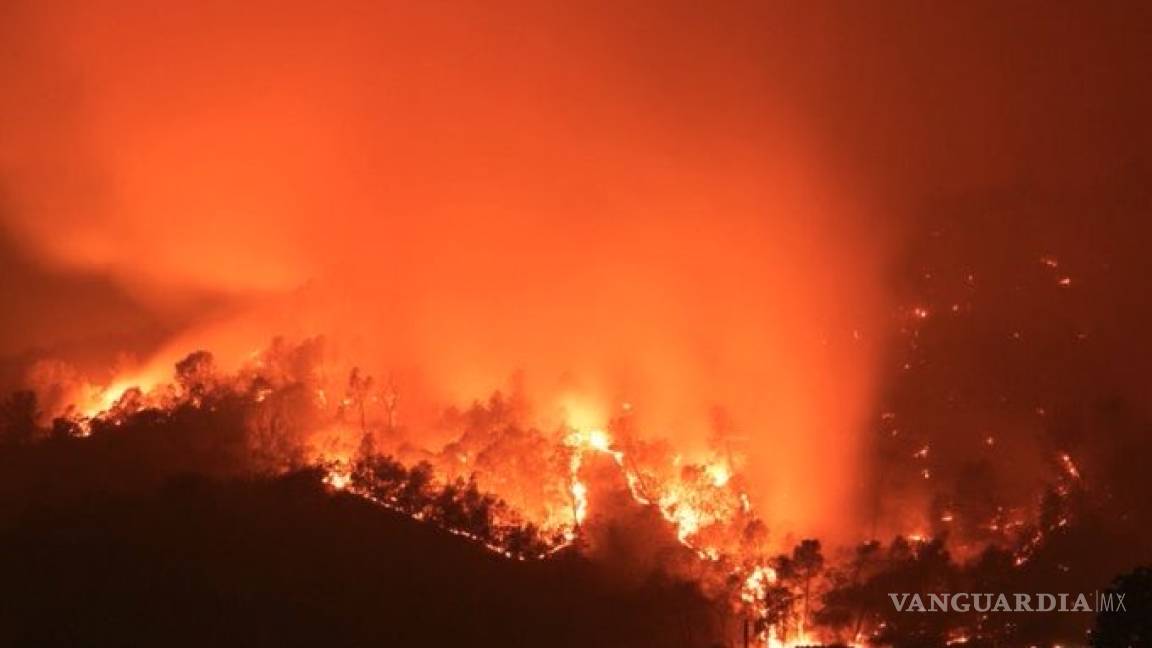 Incendios en California arrasan 1.62 millones de hectáreas