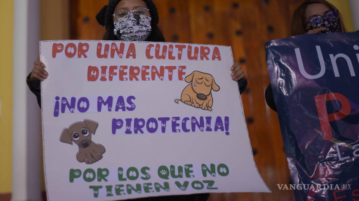 Coahuila: analizan prohibir exponer a mascotas a ‘cuetes’