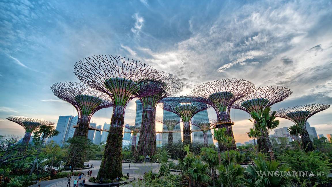 $!Gardens by the bay.