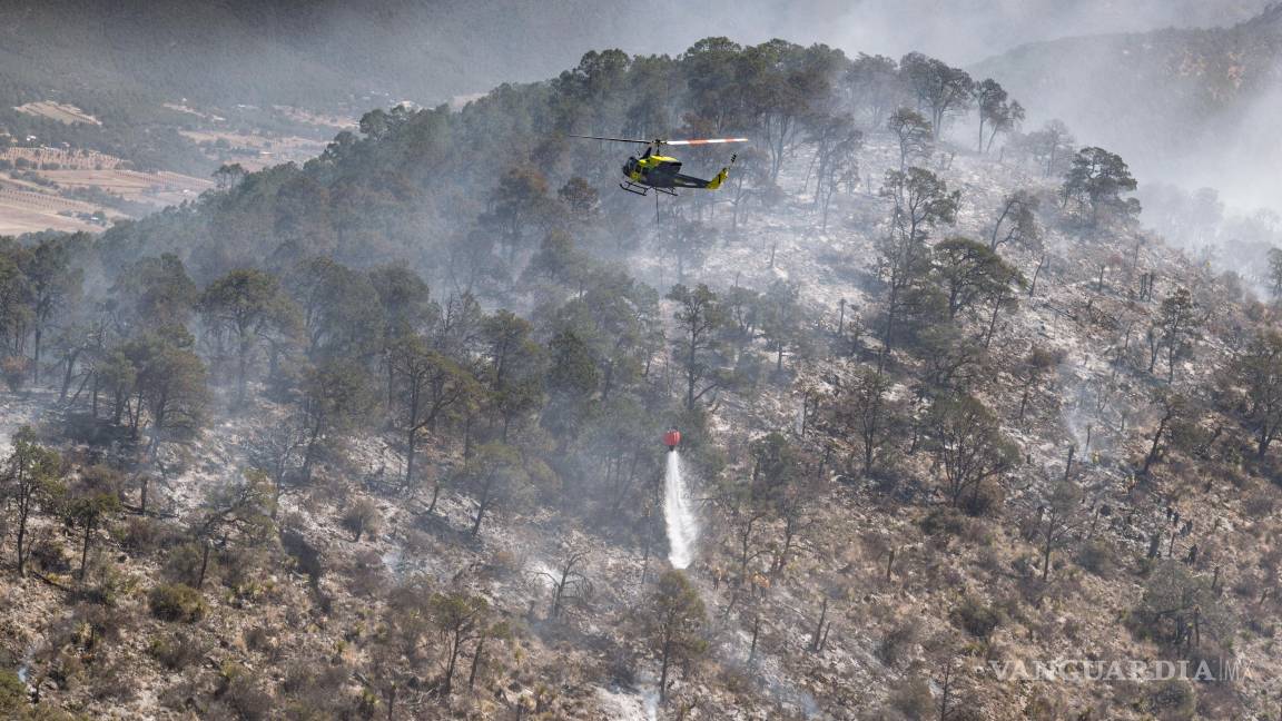 Arteaga: Más de 230 brigadistas y tres helicópteros combaten incendio en El Tunal