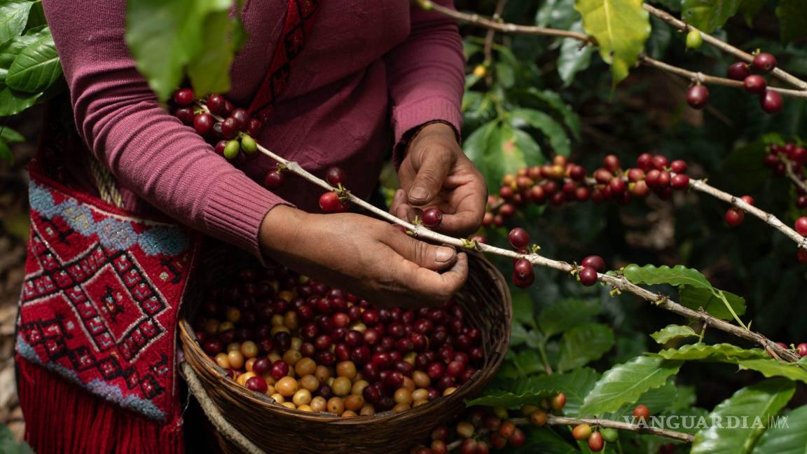 Gracias a mejores precios de exportación, México aceleró el ritmo de expansión de sus envíos: BID