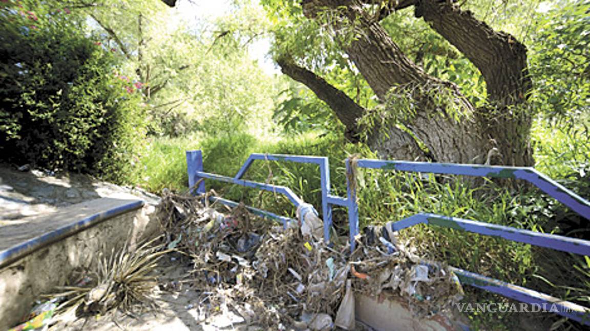 $!Permanece Parque Hundido de Saltillo, sumido entre la basura y cadáveres de animales