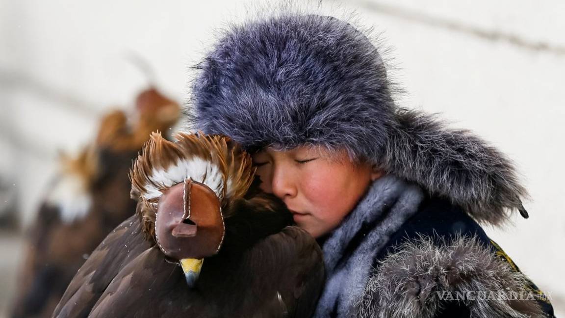 $!Las fotos más espectaculares de animales en este 2018
