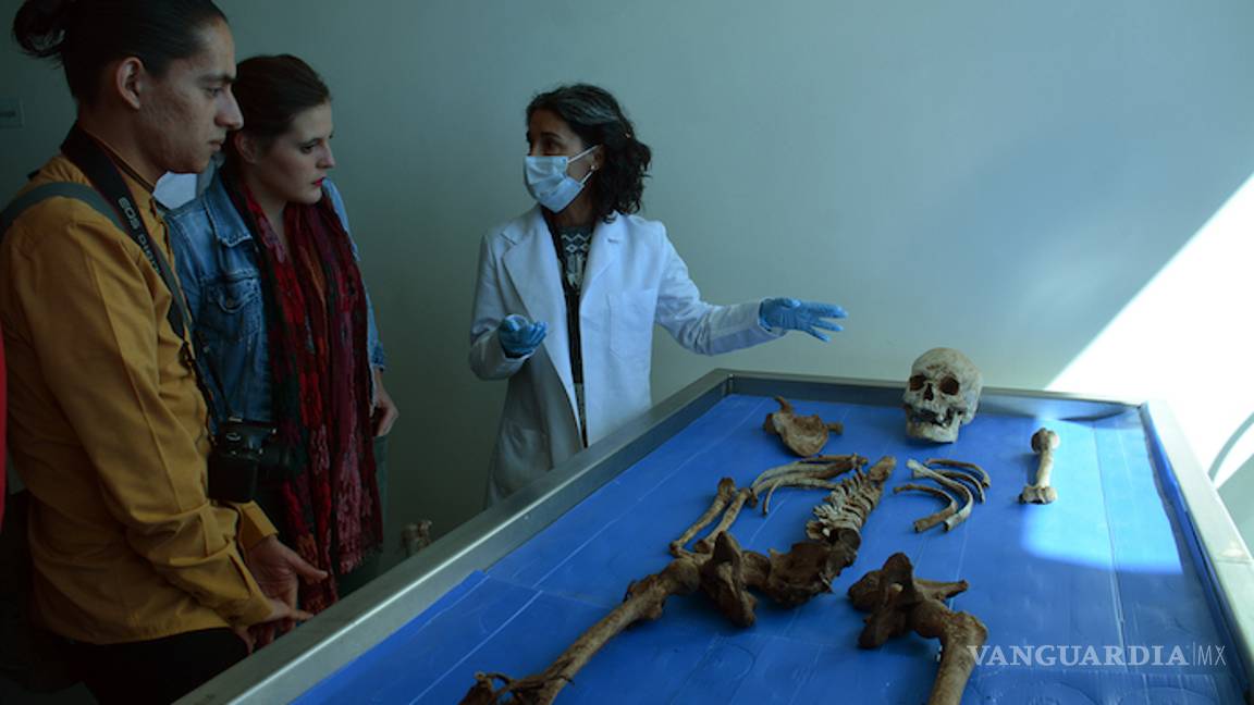 $!Nuestros cuerpos seguirán moviéndose aún después de un año de muertos