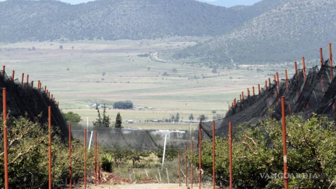 $!Manzaneros de Arteaga preocupados por las heladas tardías que podrían reducir aún más la producción.