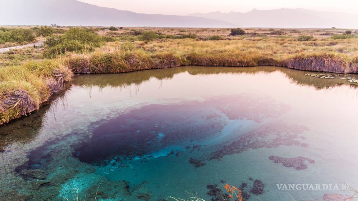 $!Valeria Souza es la investigadora mexicana que busca en Coahuila, el origen de la vida