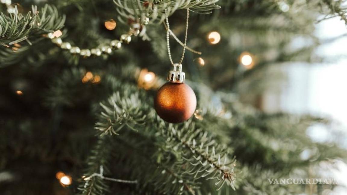 ¿Cuánto te costará armar el arbolito de Navidad este año?