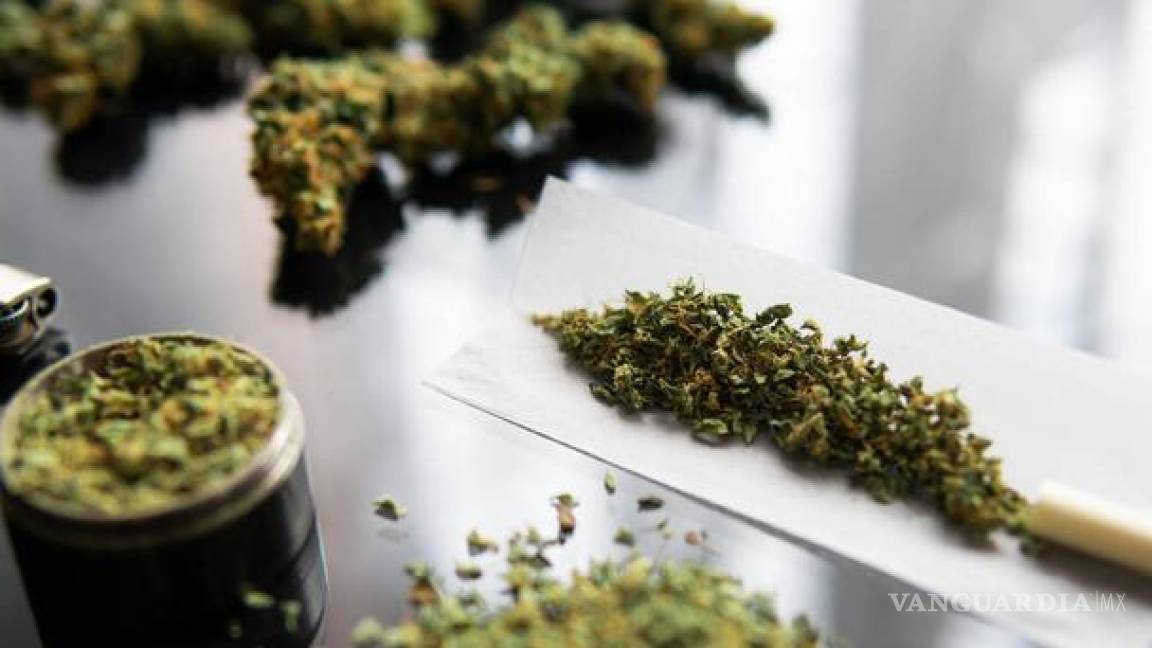 SCJN declara inconstitucional penalizar posesión de marihuana por consumo personal
