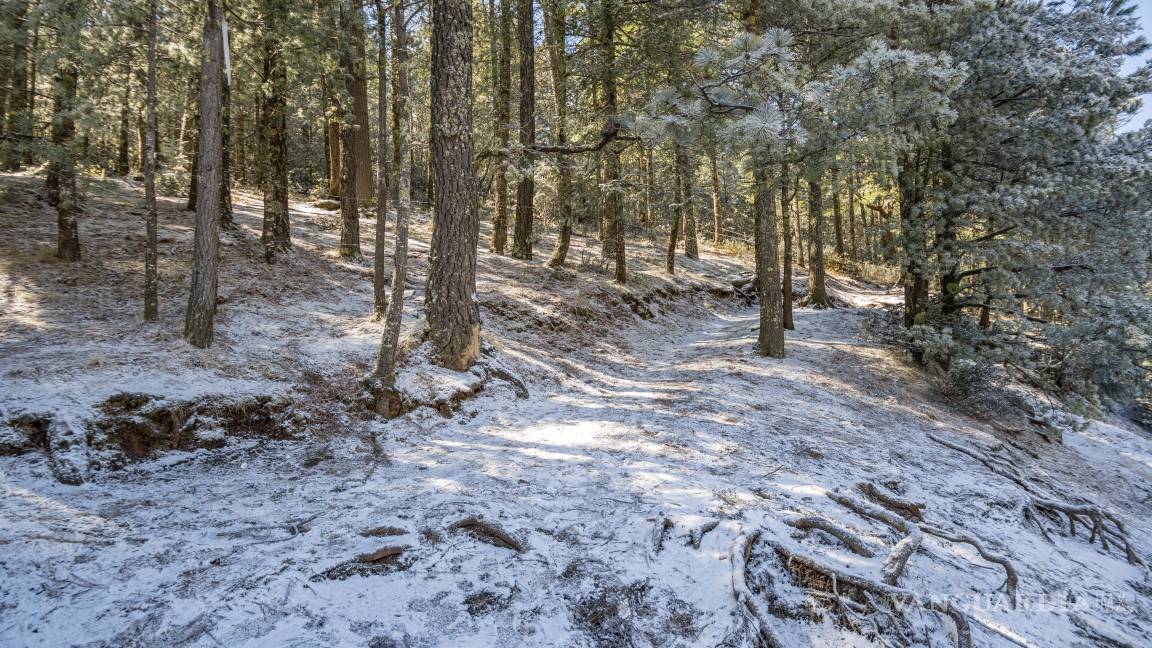 ¿Nevadas en abril? Prepárese; pronostican caída de aguanieve en Coahuila