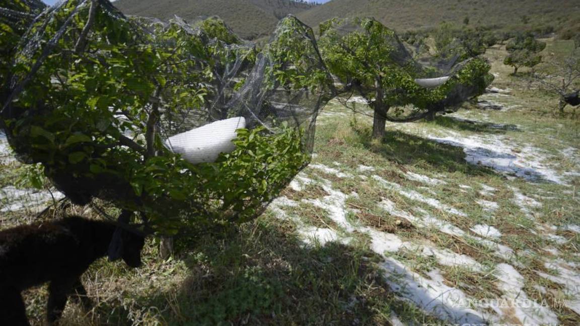 $!Autoridades de Protección Civil recorren las zonas afectadas por las tormentas en la región de Arteaga.