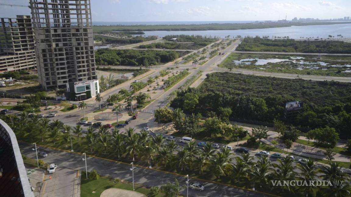 $!Tribunal ordena a Semarnat restaurar manglar de Tajamar