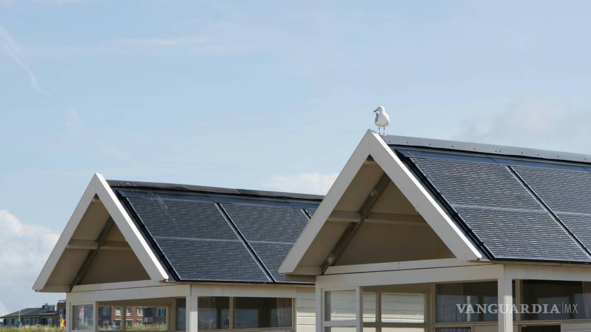 $!Estas casas están diseñadas para conservar recursos naturales, reducir las emisiones de carbono y crear un entorno interior saludable.