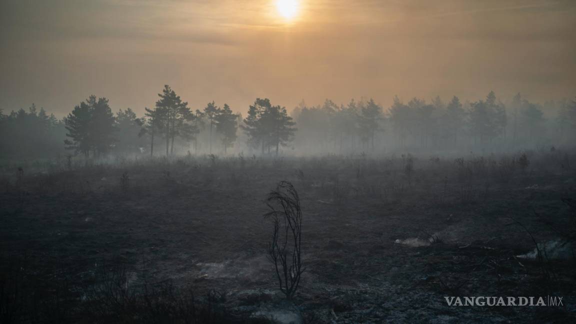 $!Vista tomada una zona calcinada por las llamas en el incendio forestal en la localidad orensana de Carballeda de Valdeorras en España.