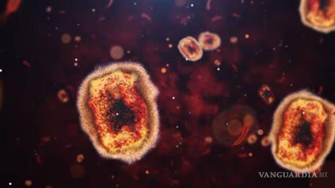 $!Esta nueva variante del virus, llamada clado I (clado Ib) se propaga de manera continua y afecta a un rango más amplio de edades, incluyendo a los niños. Además, causa una enfermedad más grave